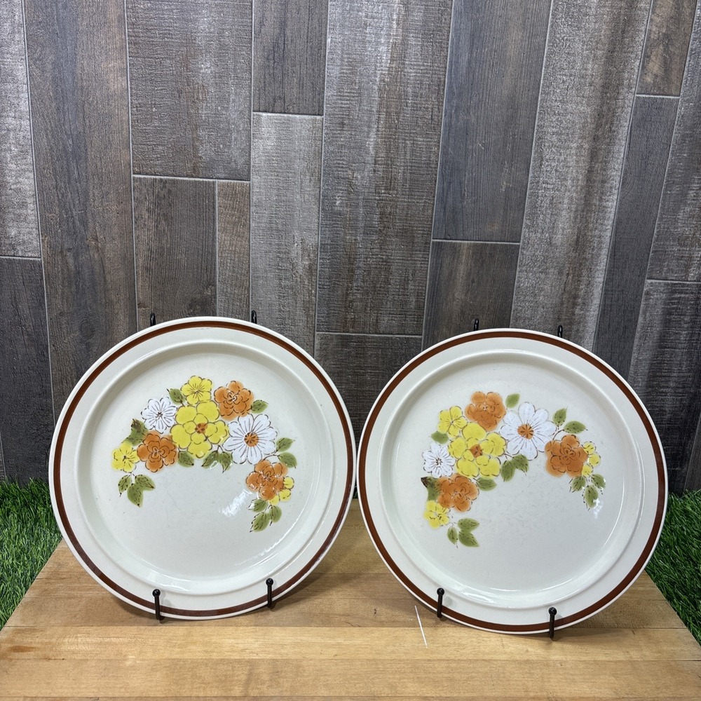 Lot 2 Interpur Flower Garden Japan Style Stoneware Dinner Plates 1970s Floral